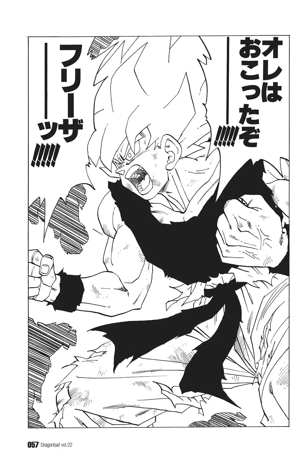 Chapitre 22 — Dragon Ball Kanzenban Vol. 22 — page 62