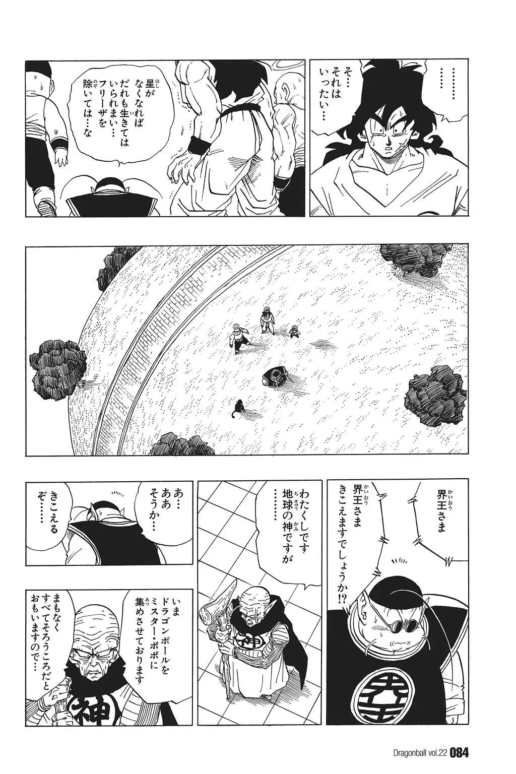 Chapitre 22 — Dragon Ball Kanzenban Vol. 22 — page 89