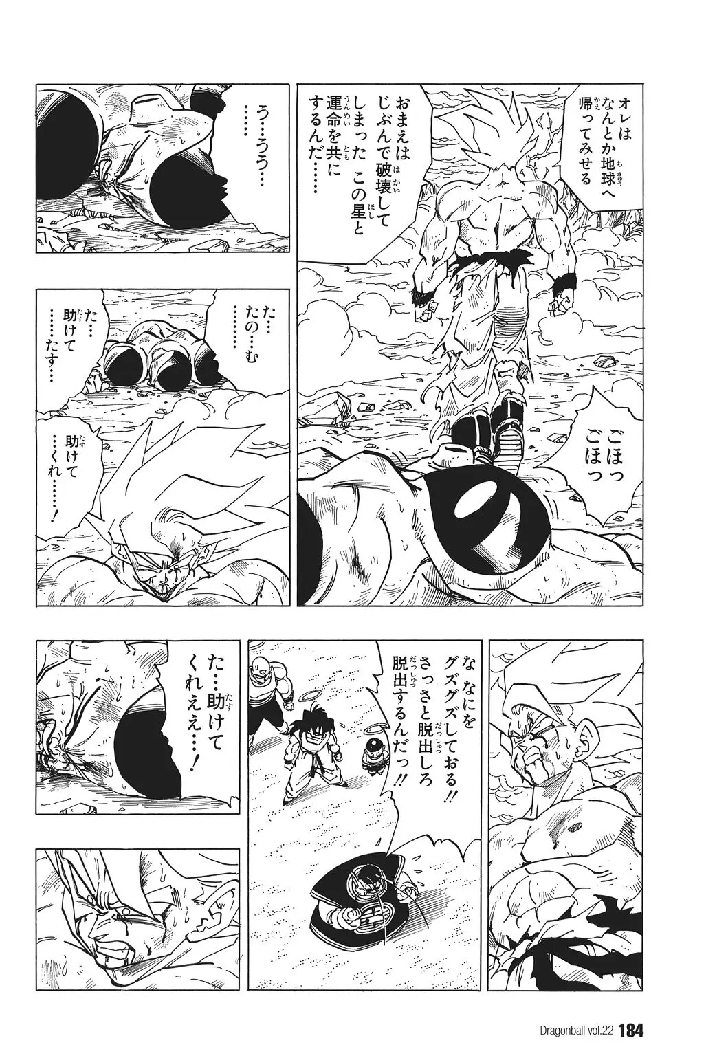 Chapitre 22 — Dragon Ball Kanzenban Vol. 22 — page 189