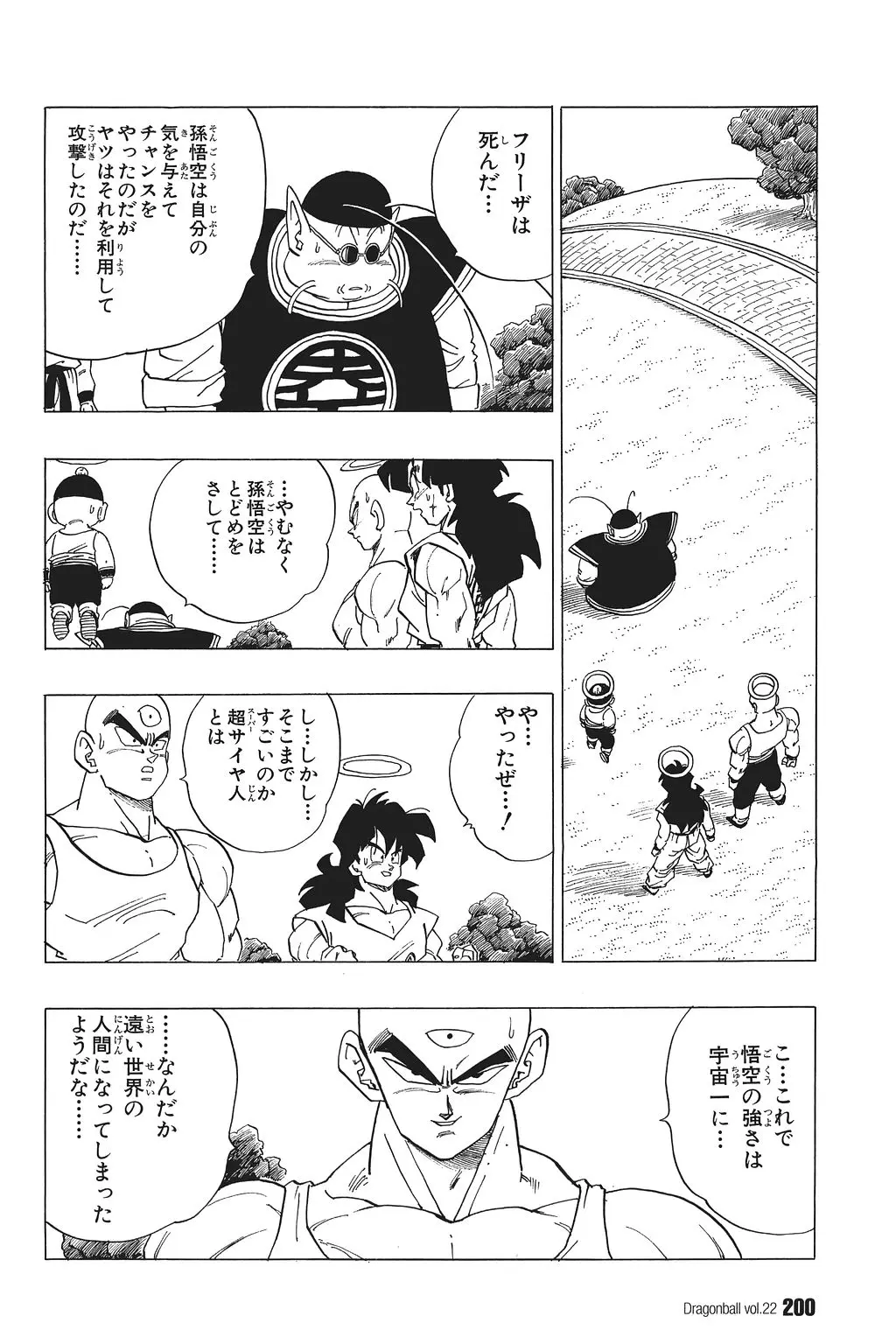 Chapitre 22 — Dragon Ball Kanzenban Vol. 22 — page 205