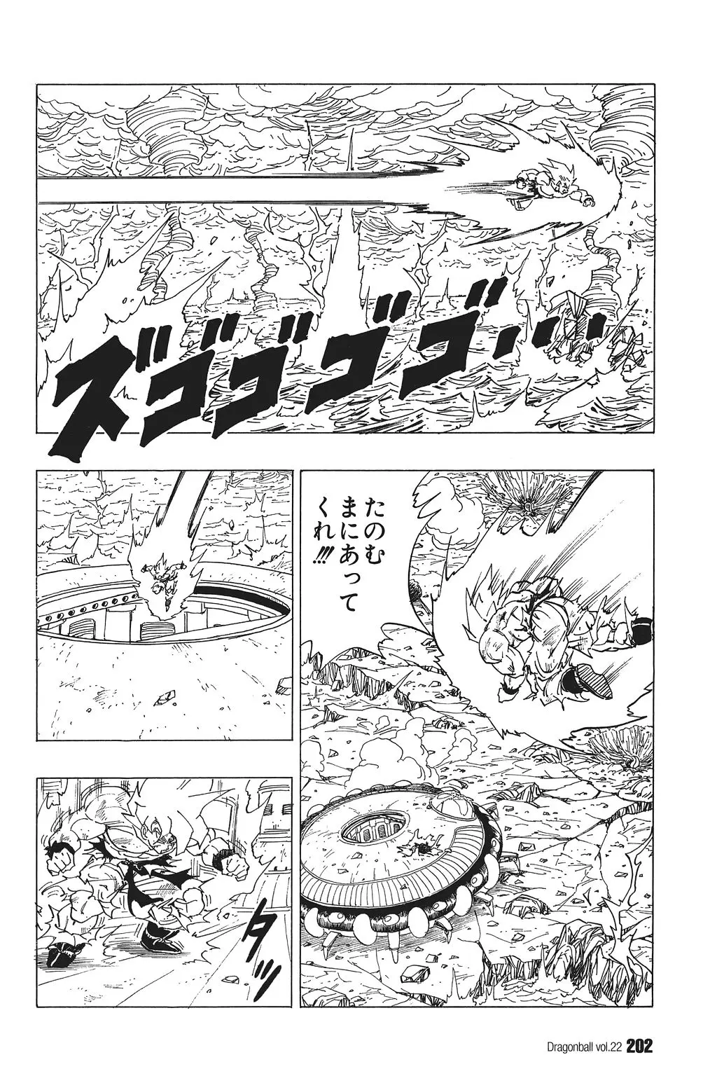 Chapitre 22 — Dragon Ball Kanzenban Vol. 22 — page 207