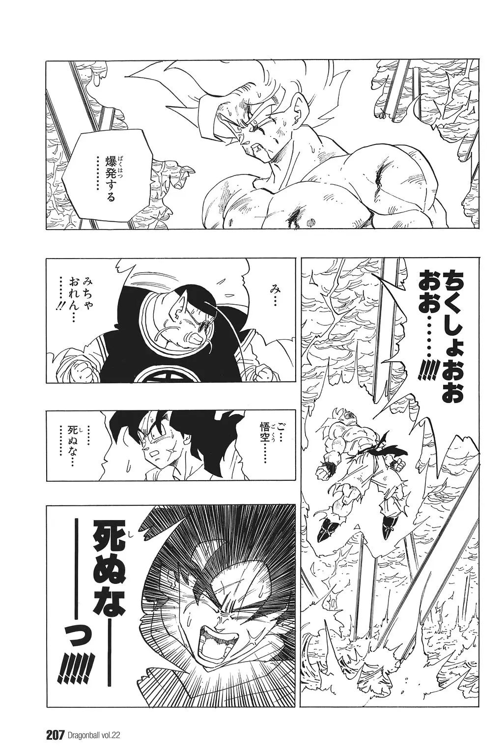 Chapitre 22 — Dragon Ball Kanzenban Vol. 22 — page 212