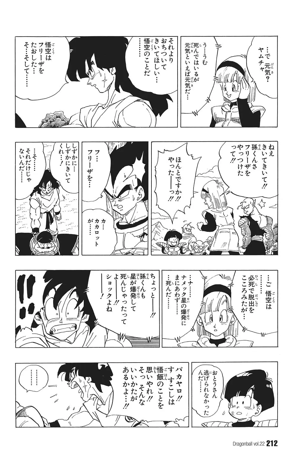 Chapitre 22 — Dragon Ball Kanzenban Vol. 22 — page 217