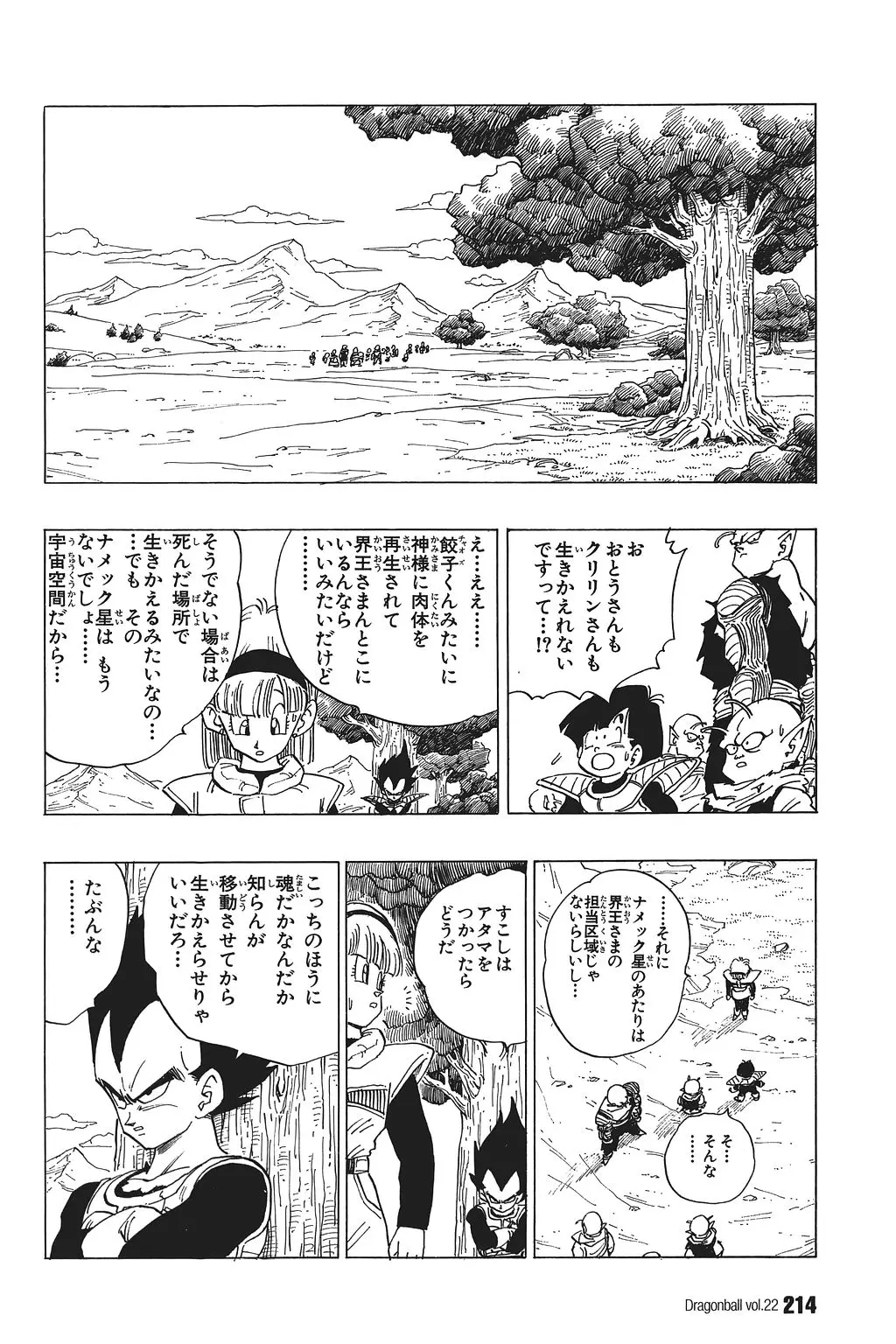 Chapitre 22 — Dragon Ball Kanzenban Vol. 22 — page 219