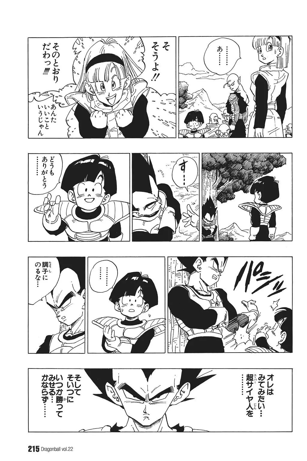 Chapitre 22 — Dragon Ball Kanzenban Vol. 22 — page 220