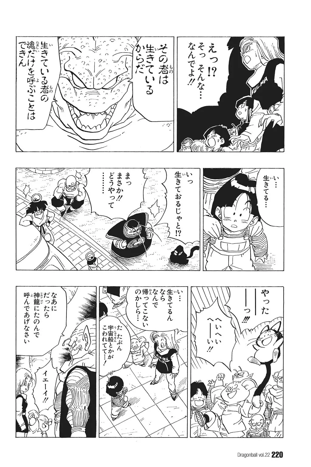 Chapitre 22 — Dragon Ball Kanzenban Vol. 22 — page 225