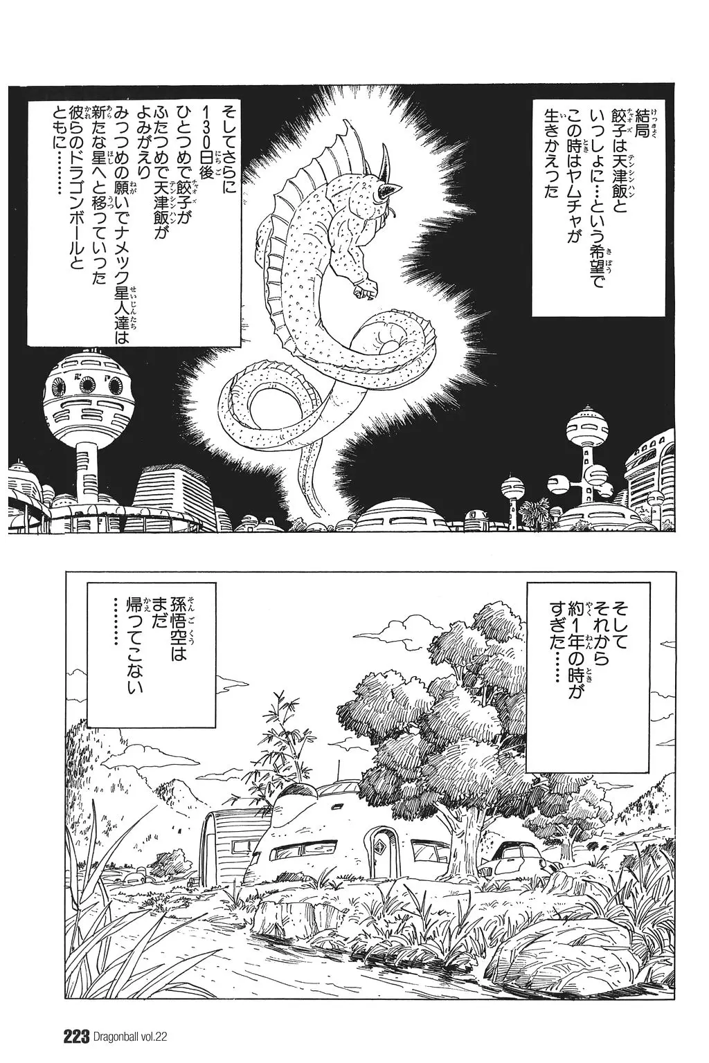 Chapitre 22 — Dragon Ball Kanzenban Vol. 22 — page 228