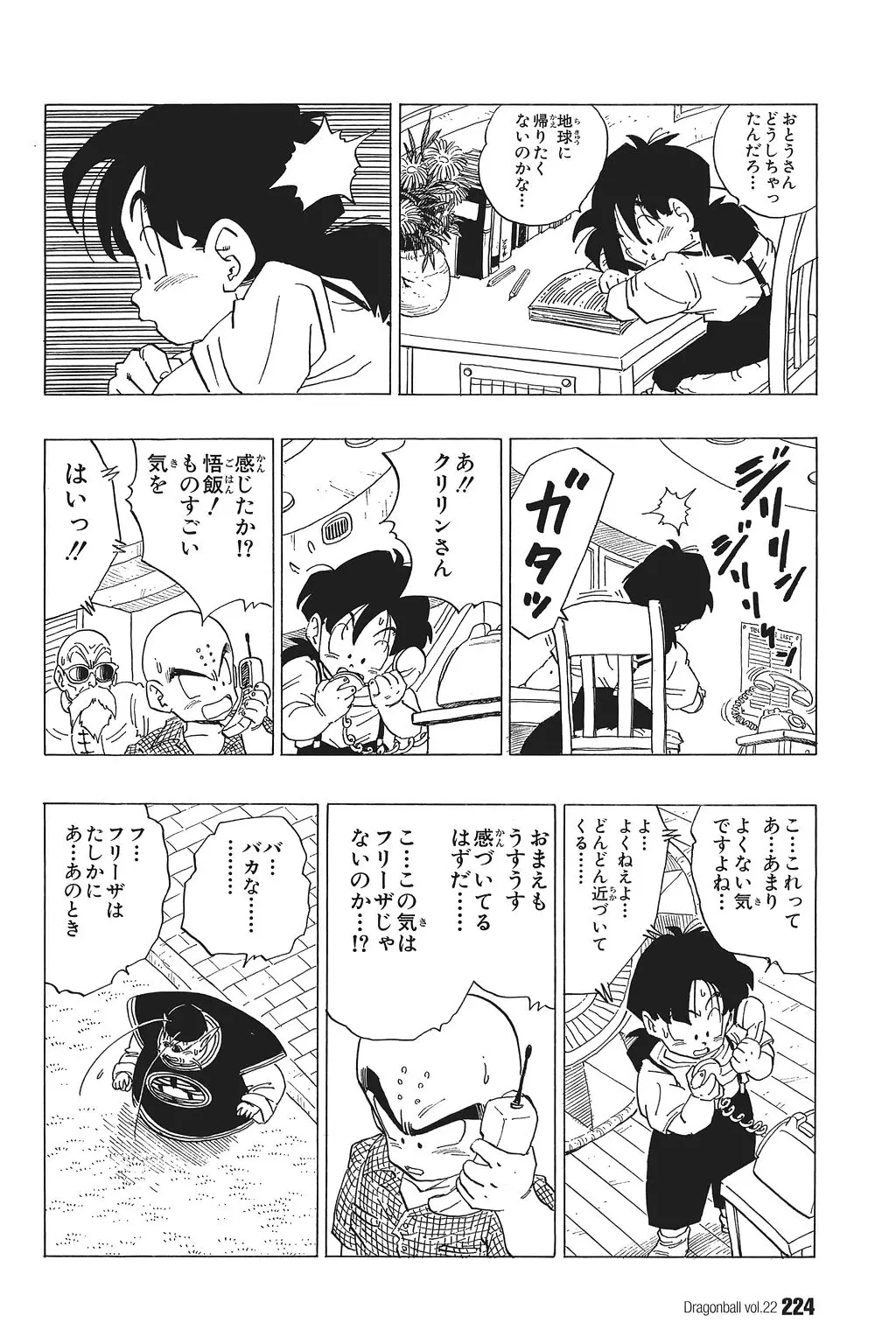 Chapitre 22 — Dragon Ball Kanzenban Vol. 22 — page 229