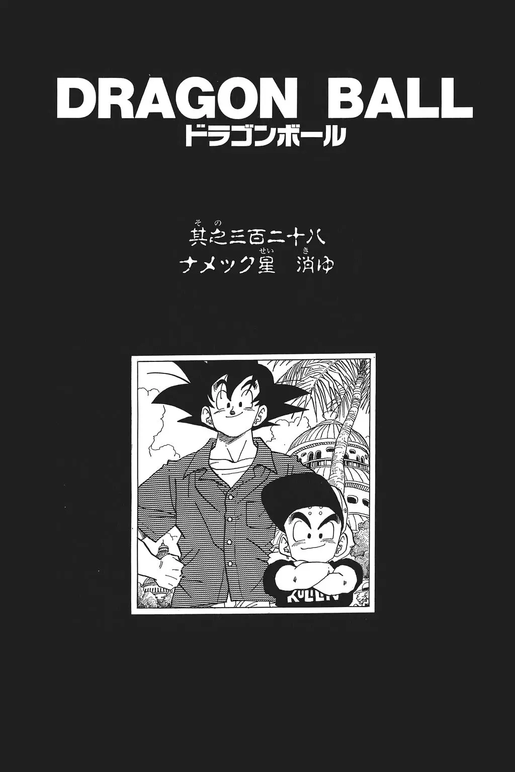 Chapitre 22 — Dragon Ball Kanzenban Vol. 22 — page 241