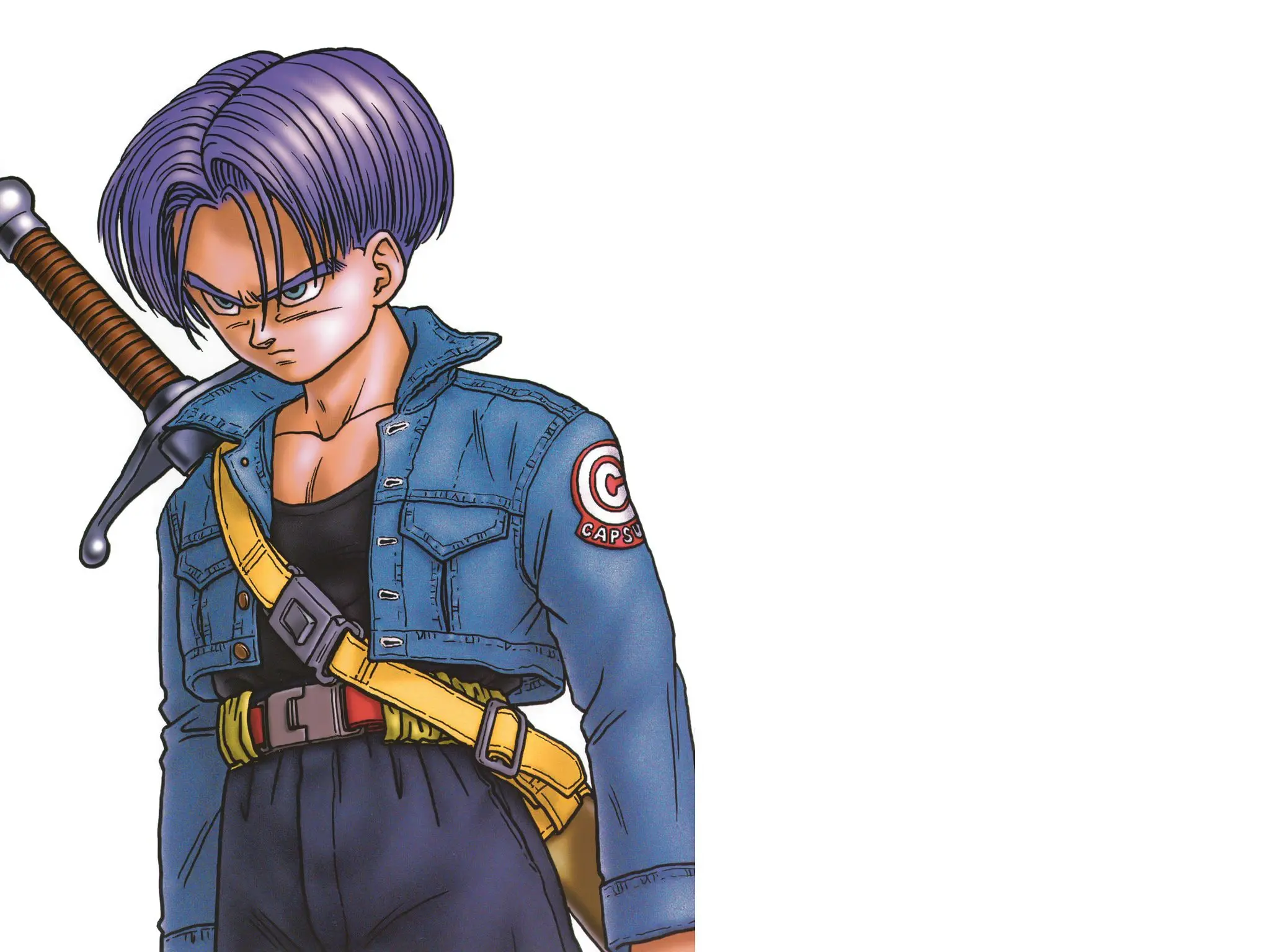 Chapitre 23 — Dragon Ball Kanzenban Vol. 23 — page 6