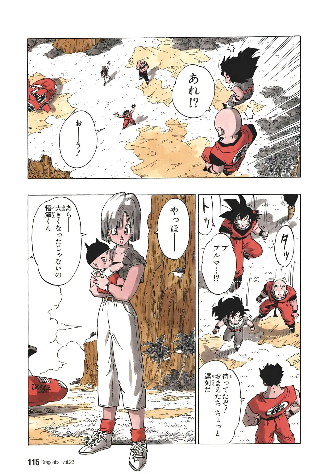 Chapitre 23 — Dragon Ball Kanzenban Vol. 23 — page 119