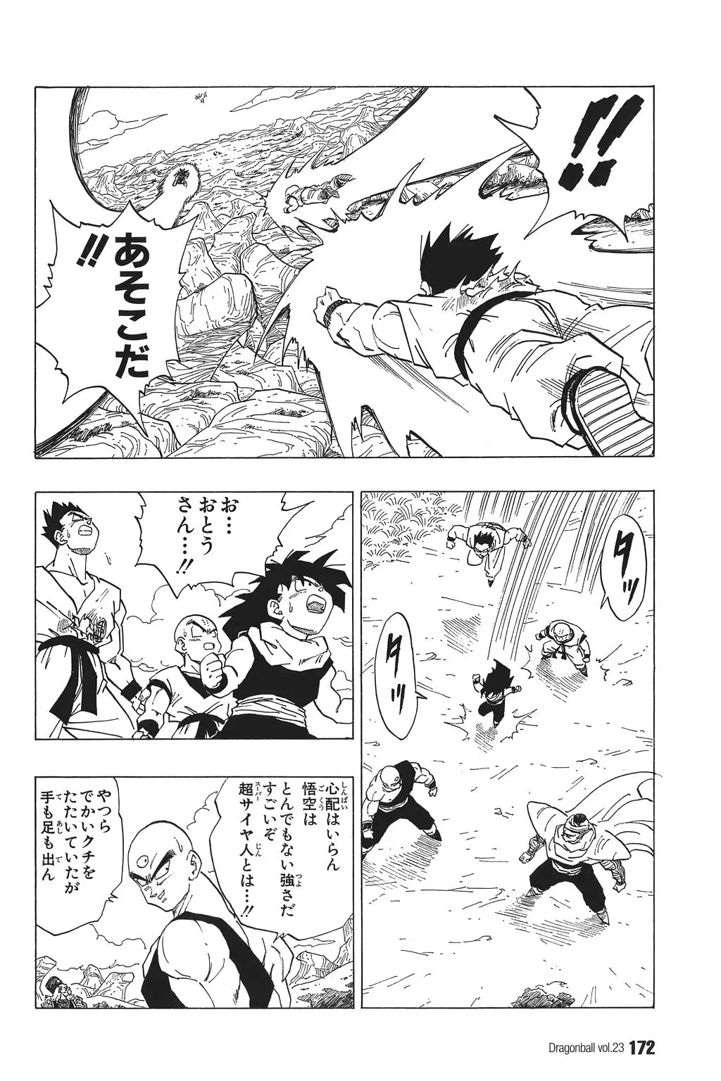 Chapitre 23 — Dragon Ball Kanzenban Vol. 23 — page 176