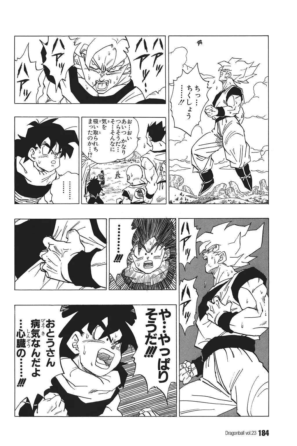 Chapitre 23 — Dragon Ball Kanzenban Vol. 23 — page 188
