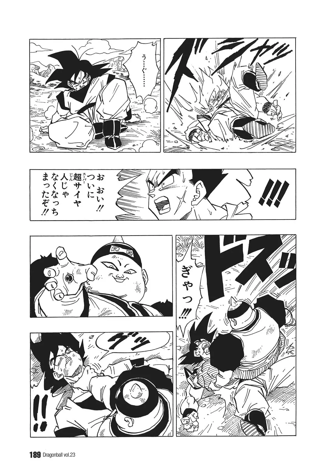 Chapitre 23 — Dragon Ball Kanzenban Vol. 23 — page 193