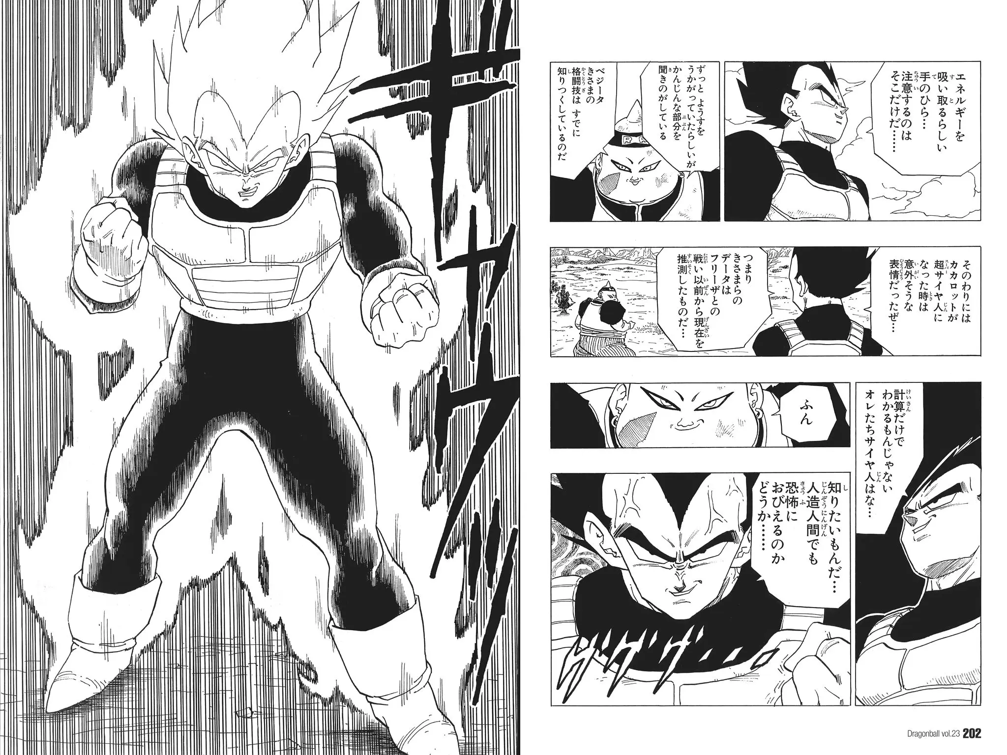 Chapitre 23 — Dragon Ball Kanzenban Vol. 23 — page 206