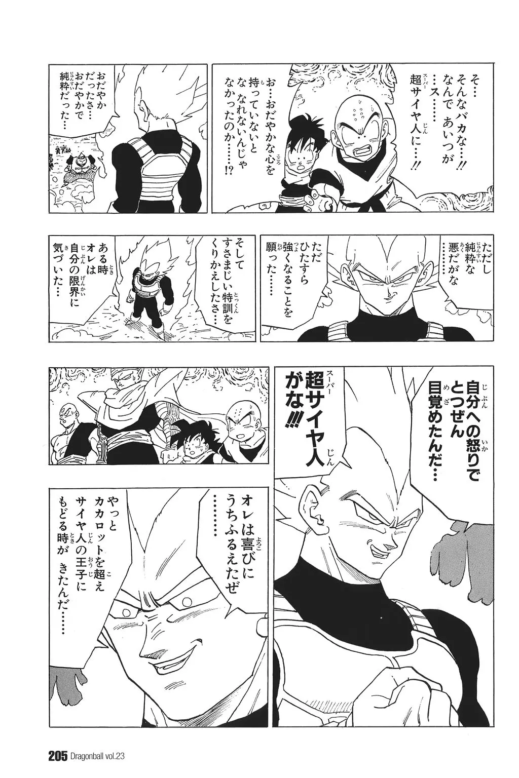 Chapitre 23 — Dragon Ball Kanzenban Vol. 23 — page 208