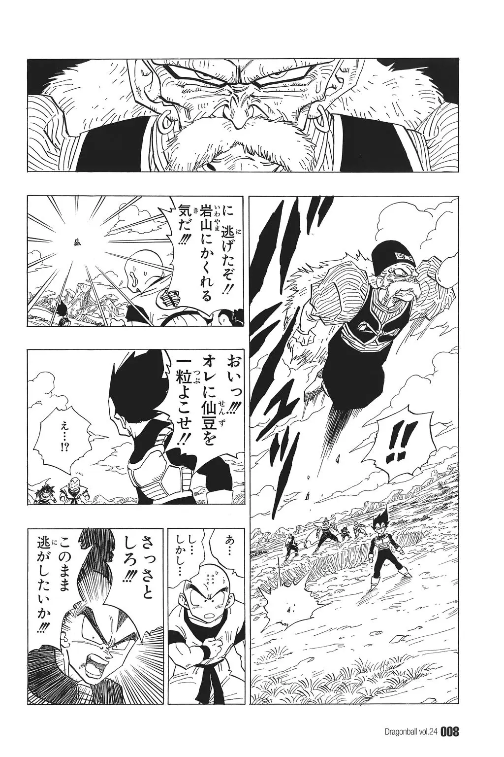 Chapitre 24 — Dragon Ball Kanzenban Vol. 24 — page 13
