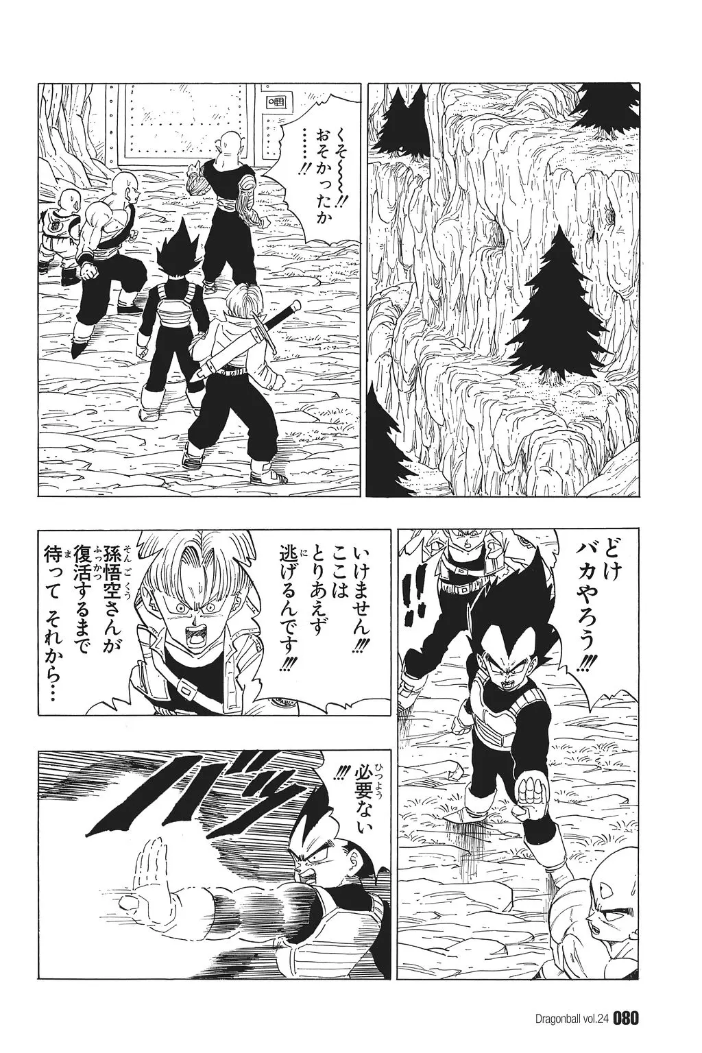 Chapitre 24 — Dragon Ball Kanzenban Vol. 24 — page 84