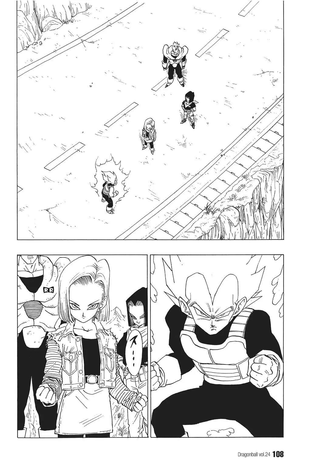 Chapitre 24 — Dragon Ball Kanzenban Vol. 24 — page 112
