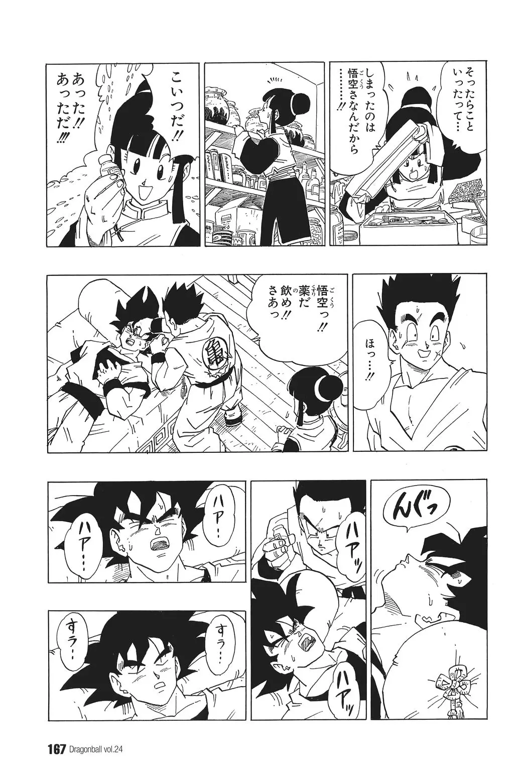 Chapitre 24 — Dragon Ball Kanzenban Vol. 24 — page 171