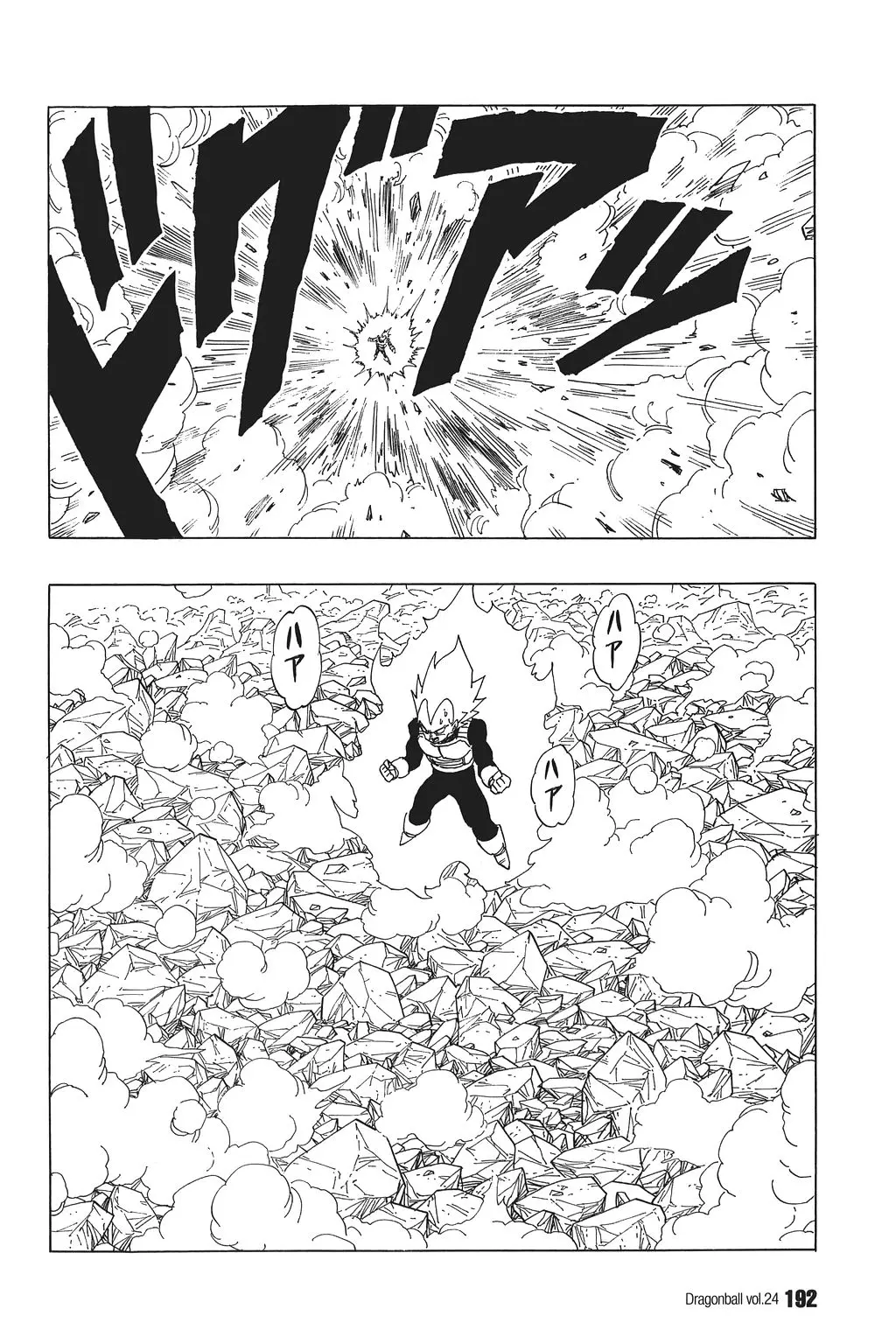 Chapitre 24 — Dragon Ball Kanzenban Vol. 24 — page 196