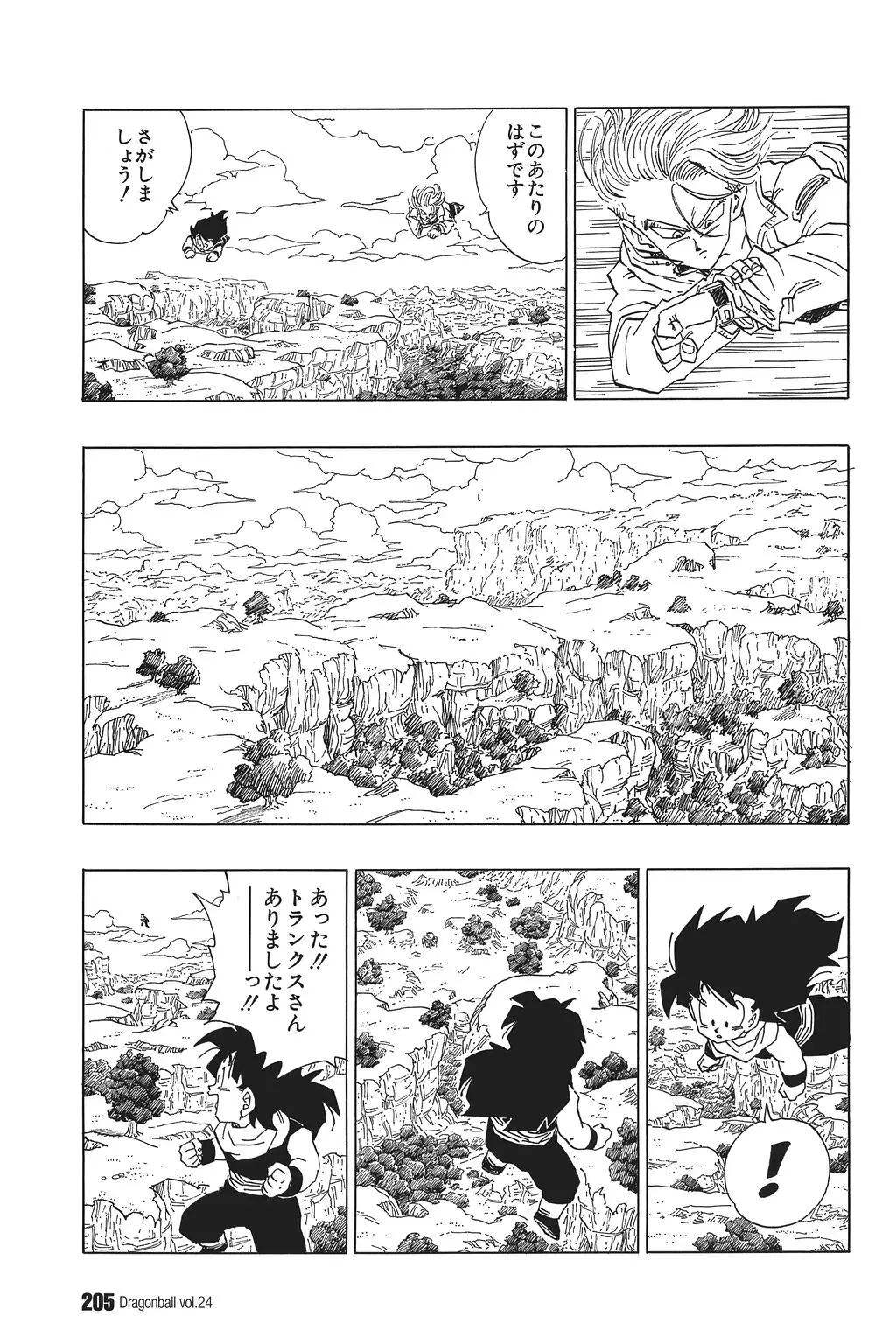 Chapitre 24 — Dragon Ball Kanzenban Vol. 24 — page 209