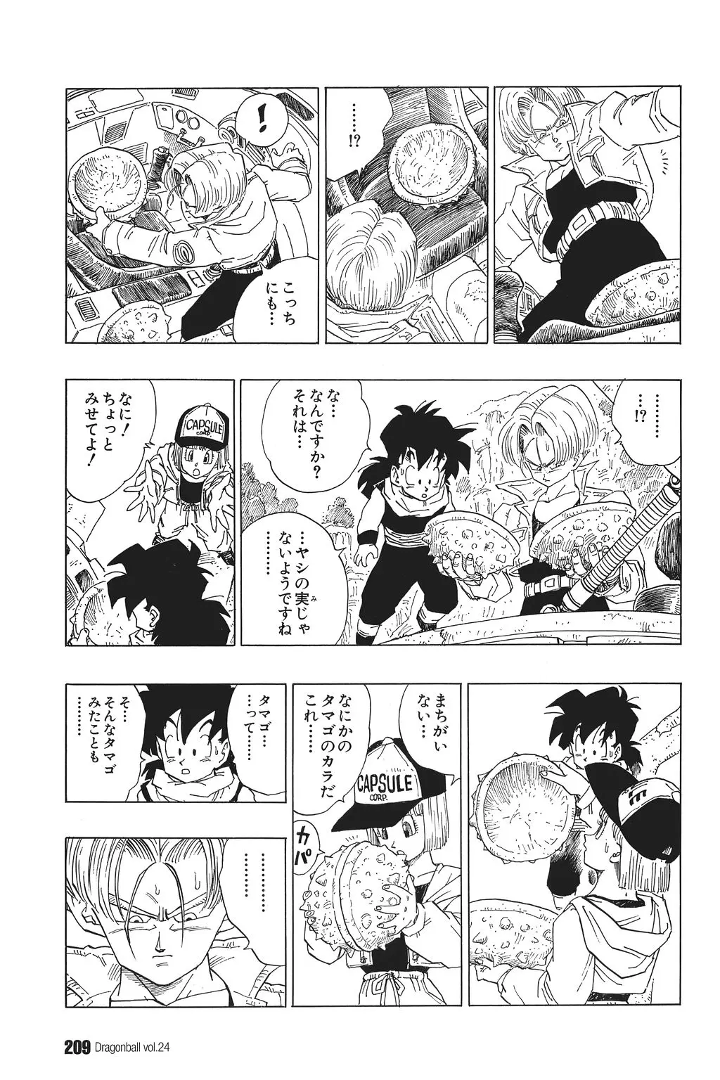 Chapitre 24 — Dragon Ball Kanzenban Vol. 24 — page 213