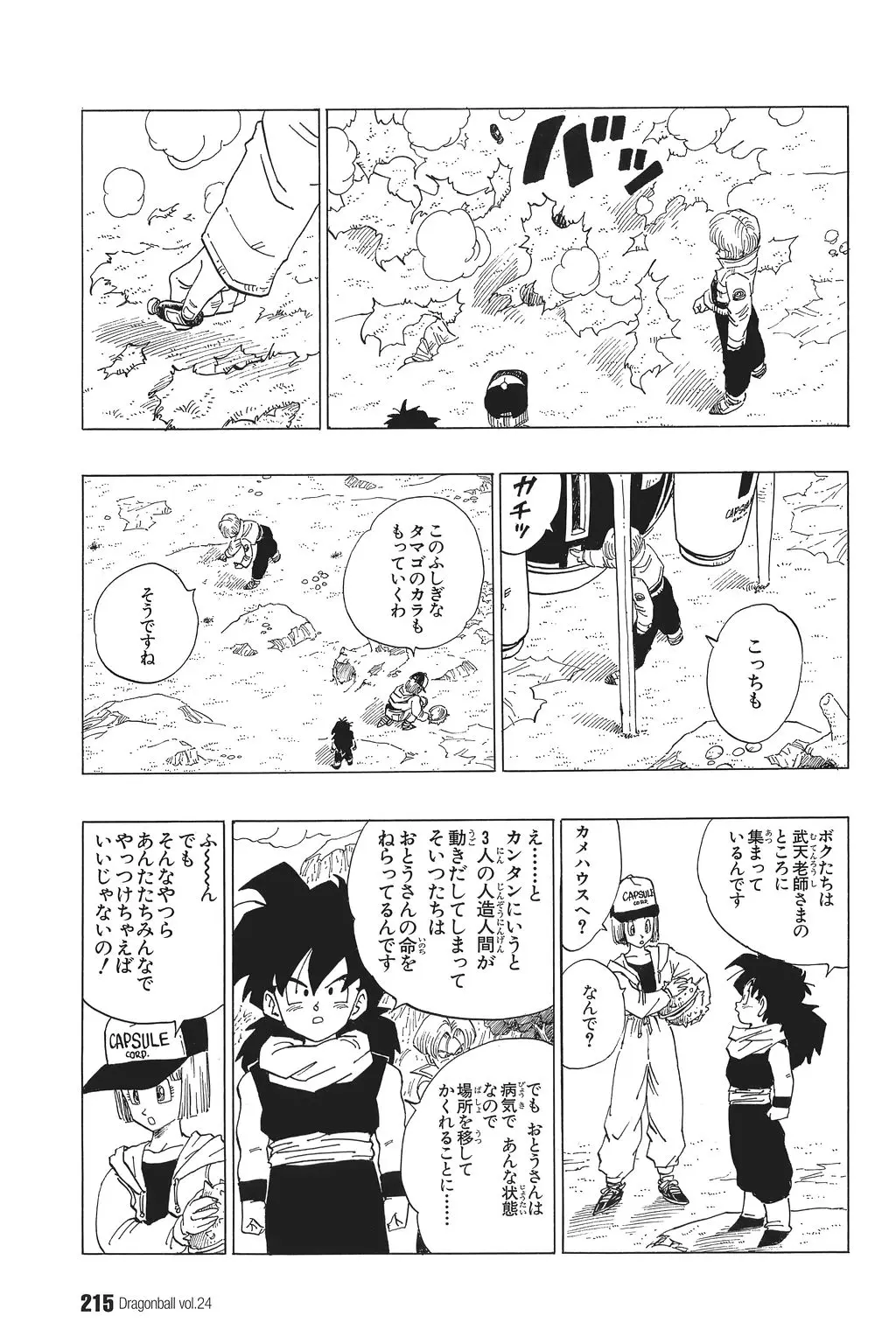 Chapitre 24 — Dragon Ball Kanzenban Vol. 24 — page 219