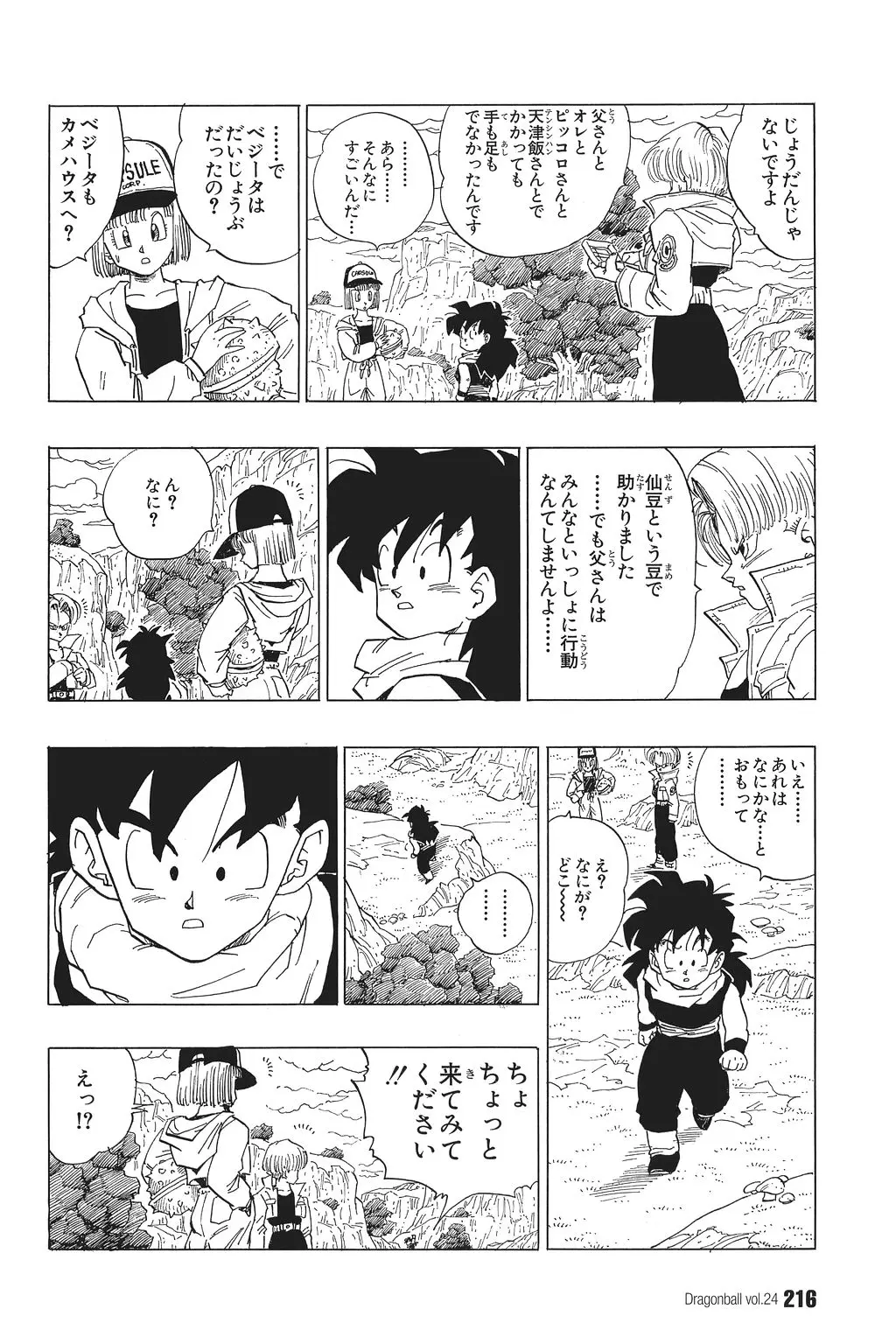Chapitre 24 — Dragon Ball Kanzenban Vol. 24 — page 220