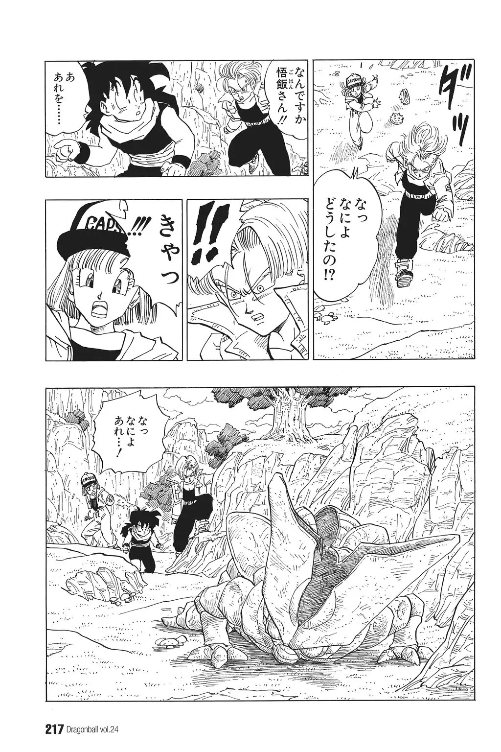 Chapitre 24 — Dragon Ball Kanzenban Vol. 24 — page 221