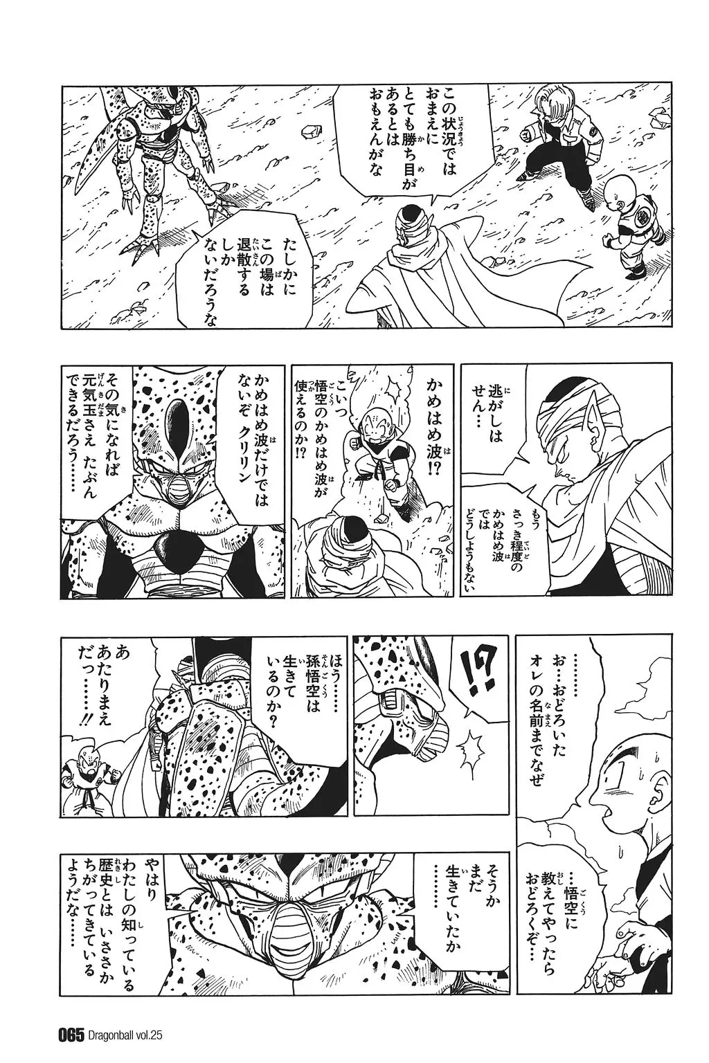 Chapitre 25 — Dragon Ball Kanzenban Vol. 25 — page 70