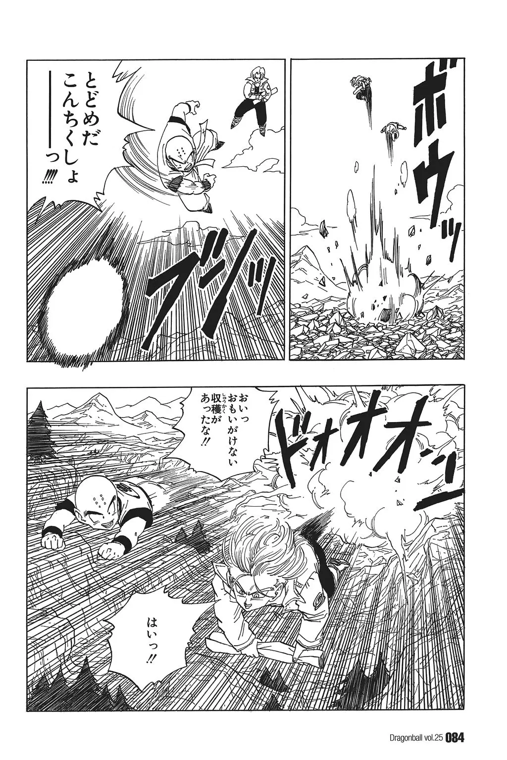 Chapitre 25 — Dragon Ball Kanzenban Vol. 25 — page 89