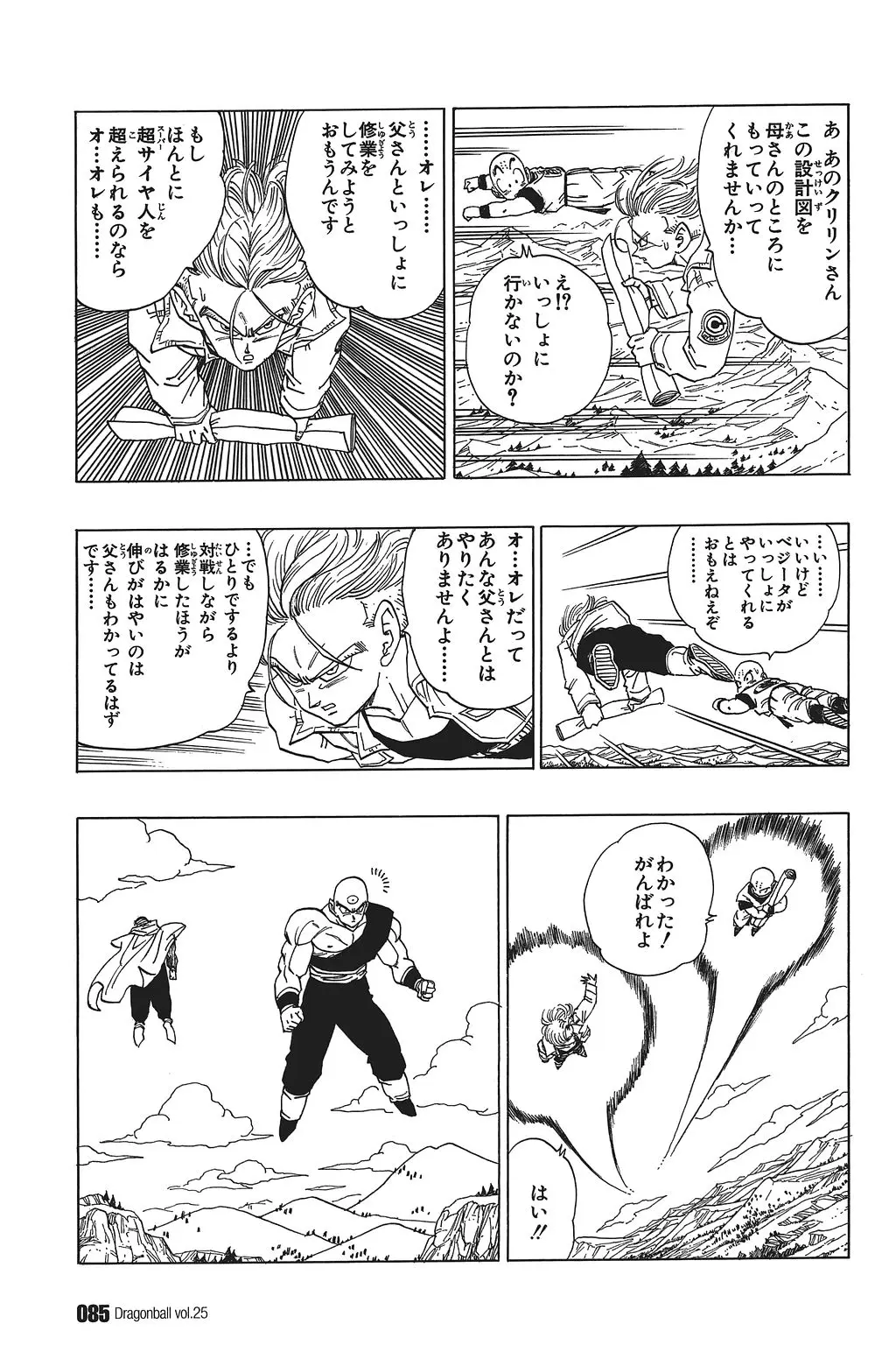 Chapitre 25 — Dragon Ball Kanzenban Vol. 25 — page 90