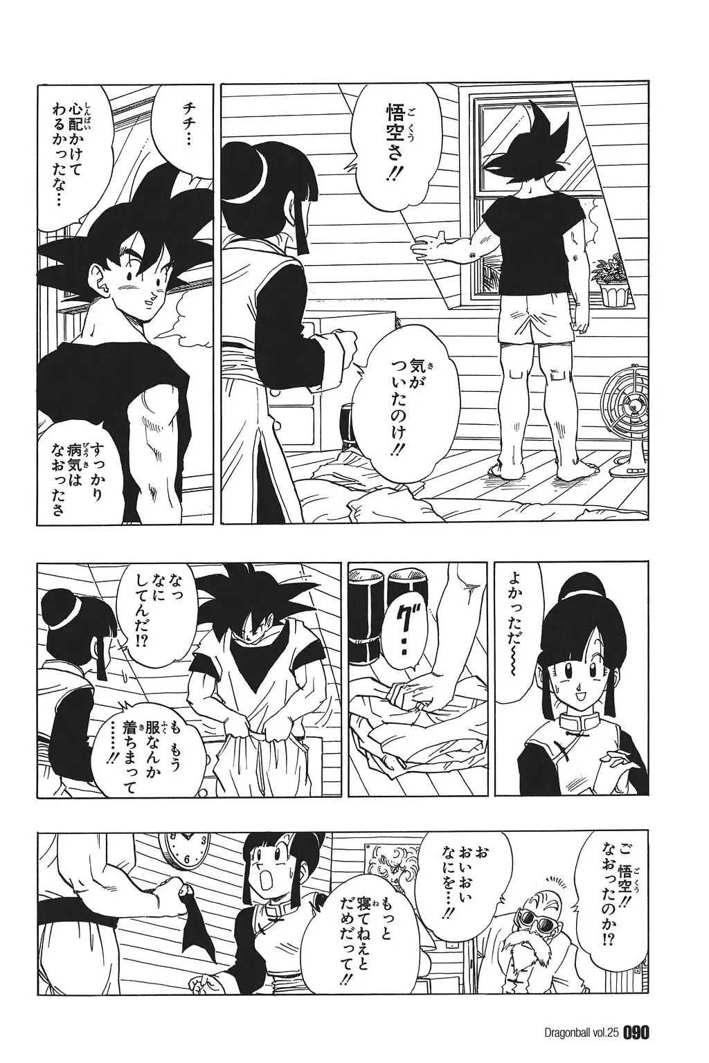 Chapitre 25 — Dragon Ball Kanzenban Vol. 25 — page 95