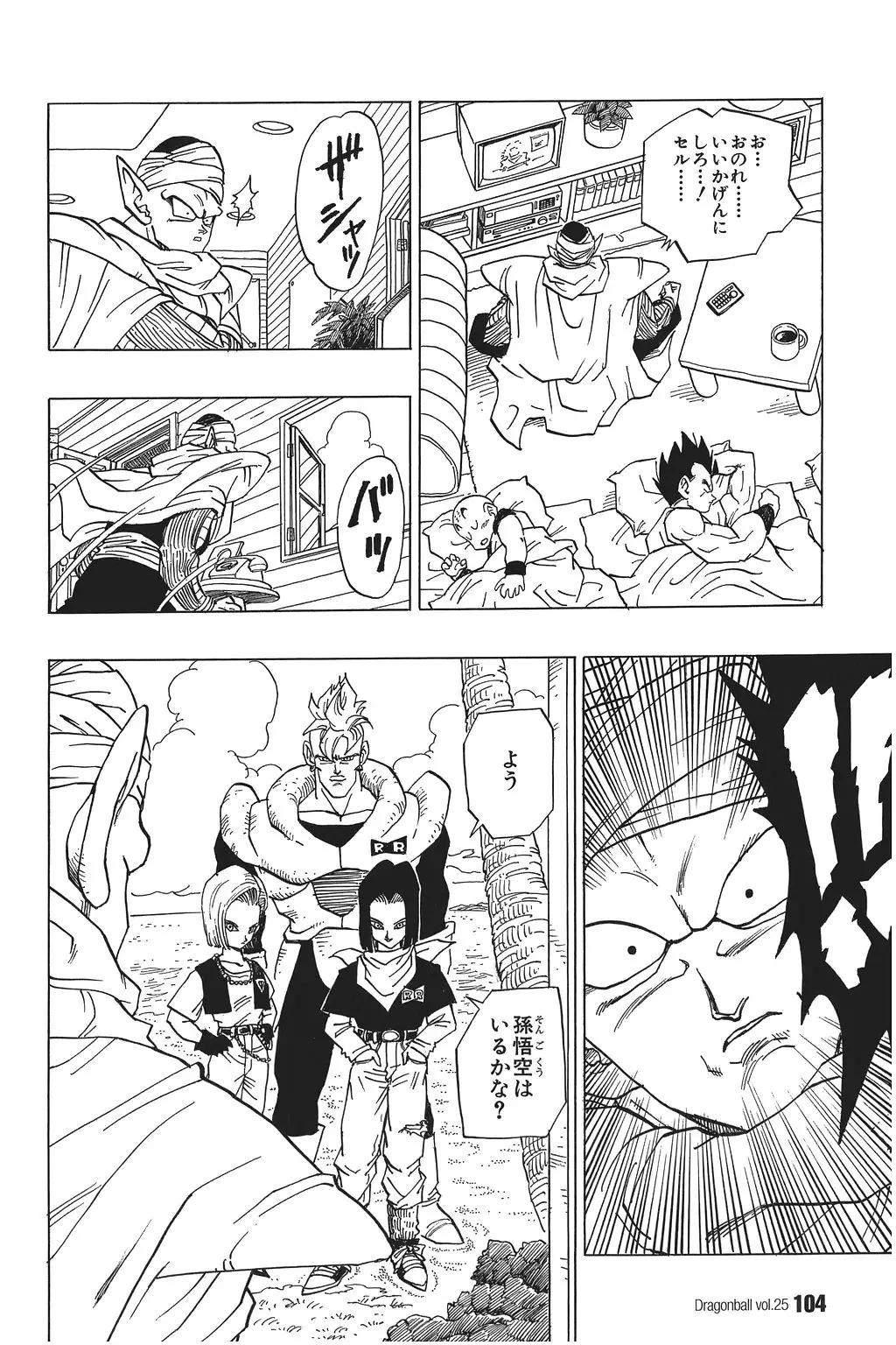 Chapitre 25 — Dragon Ball Kanzenban Vol. 25 — page 109