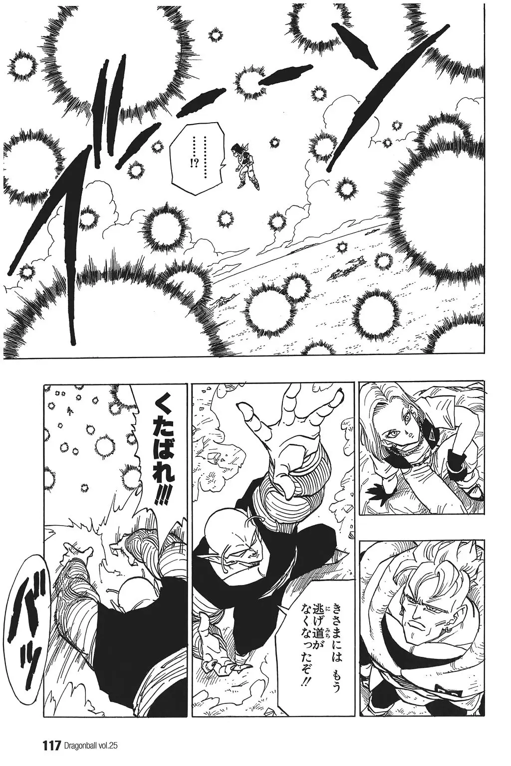 Chapitre 25 — Dragon Ball Kanzenban Vol. 25 — page 122