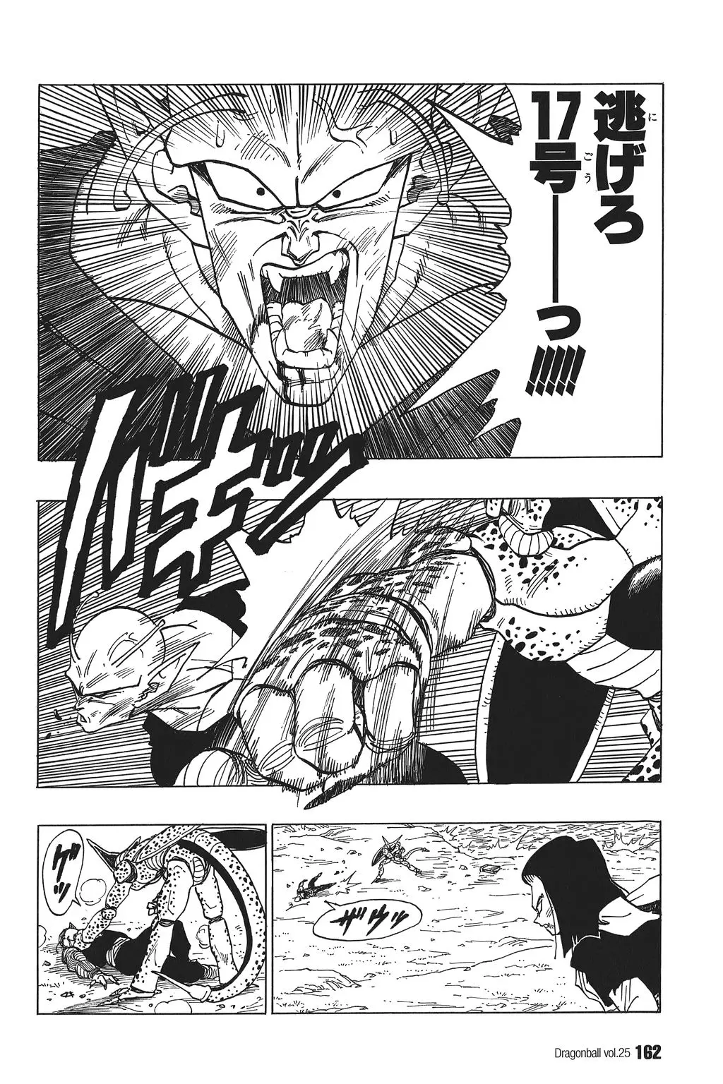 Chapitre 25 — Dragon Ball Kanzenban Vol. 25 — page 167