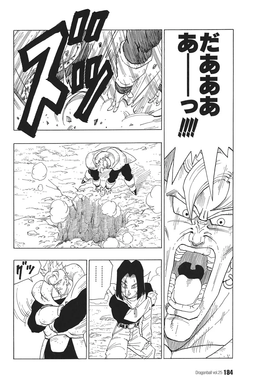 Chapitre 25 — Dragon Ball Kanzenban Vol. 25 — page 189