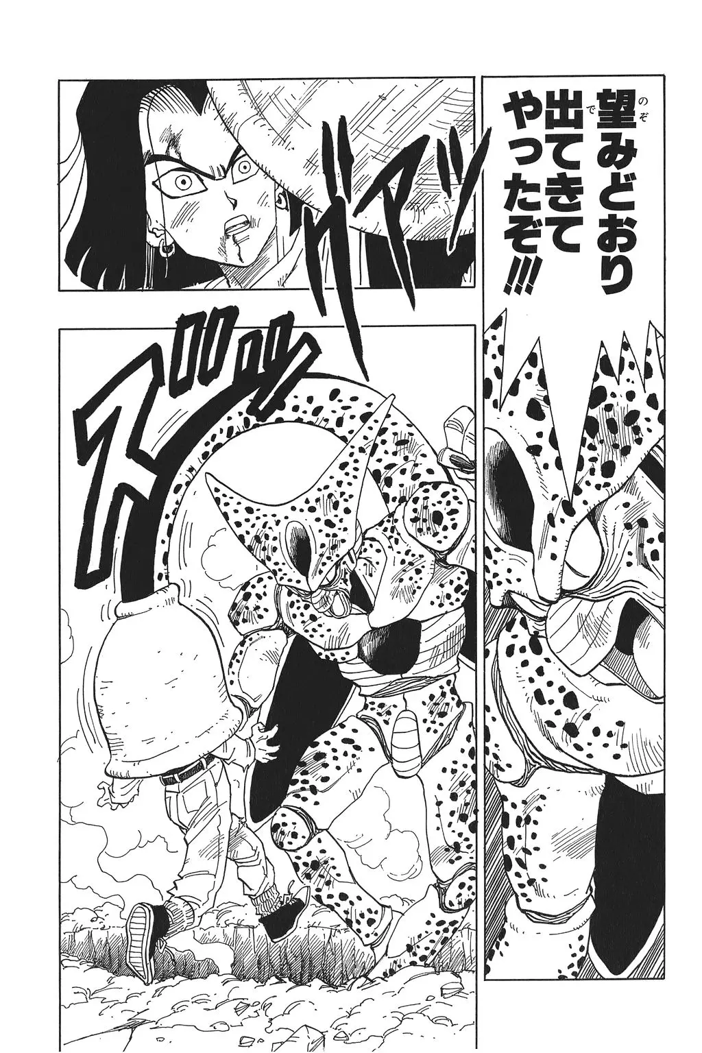 Chapitre 25 — Dragon Ball Kanzenban Vol. 25 — page 196