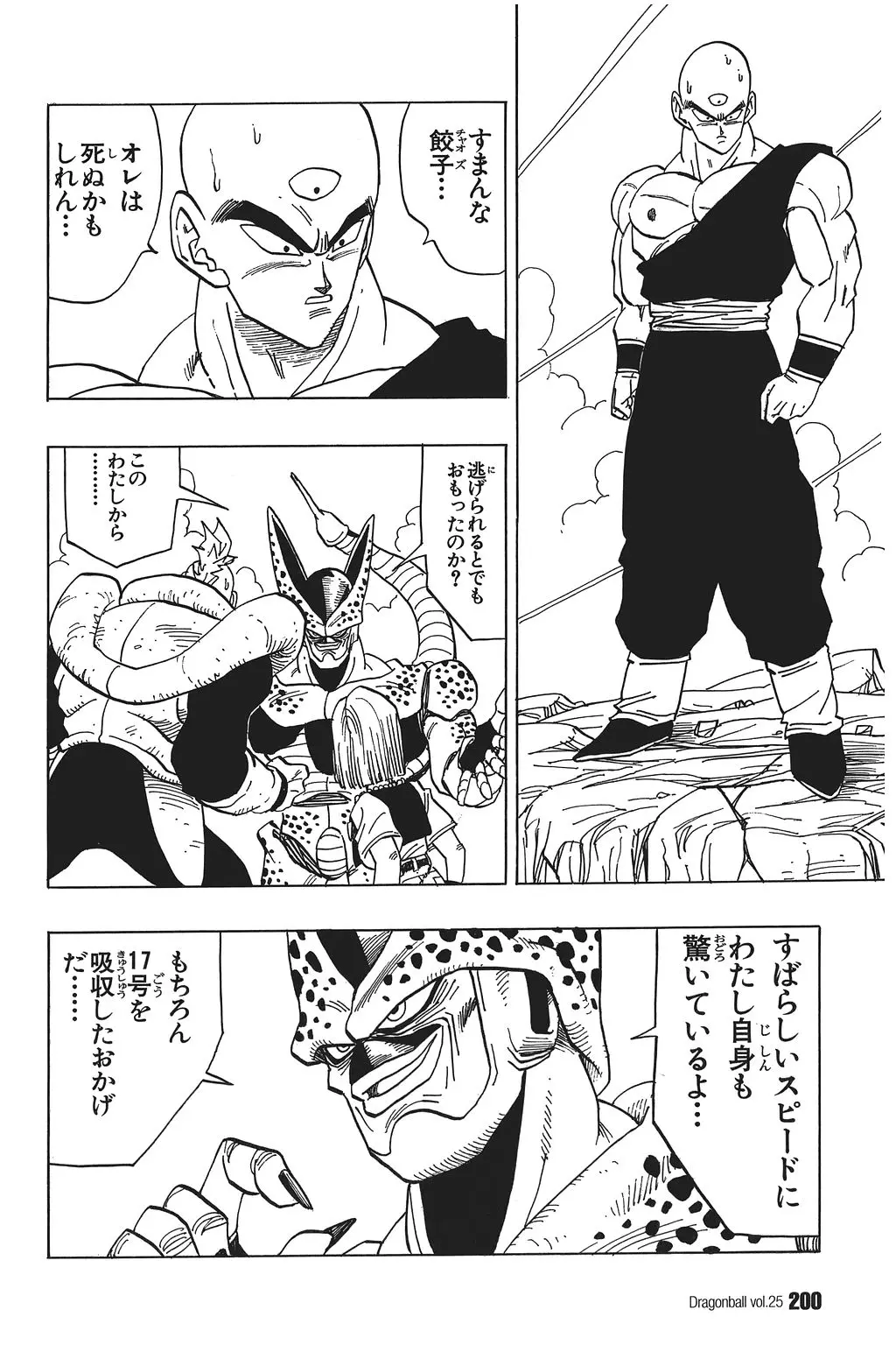 Chapitre 25 — Dragon Ball Kanzenban Vol. 25 — page 205