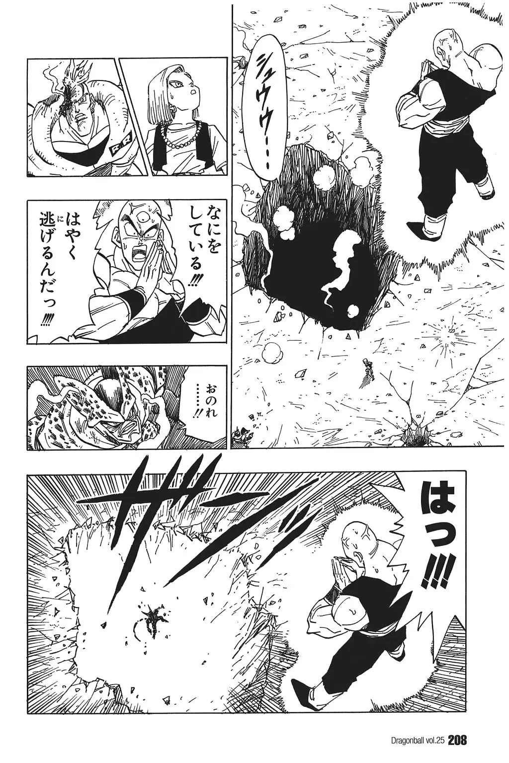 Chapitre 25 — Dragon Ball Kanzenban Vol. 25 — page 213