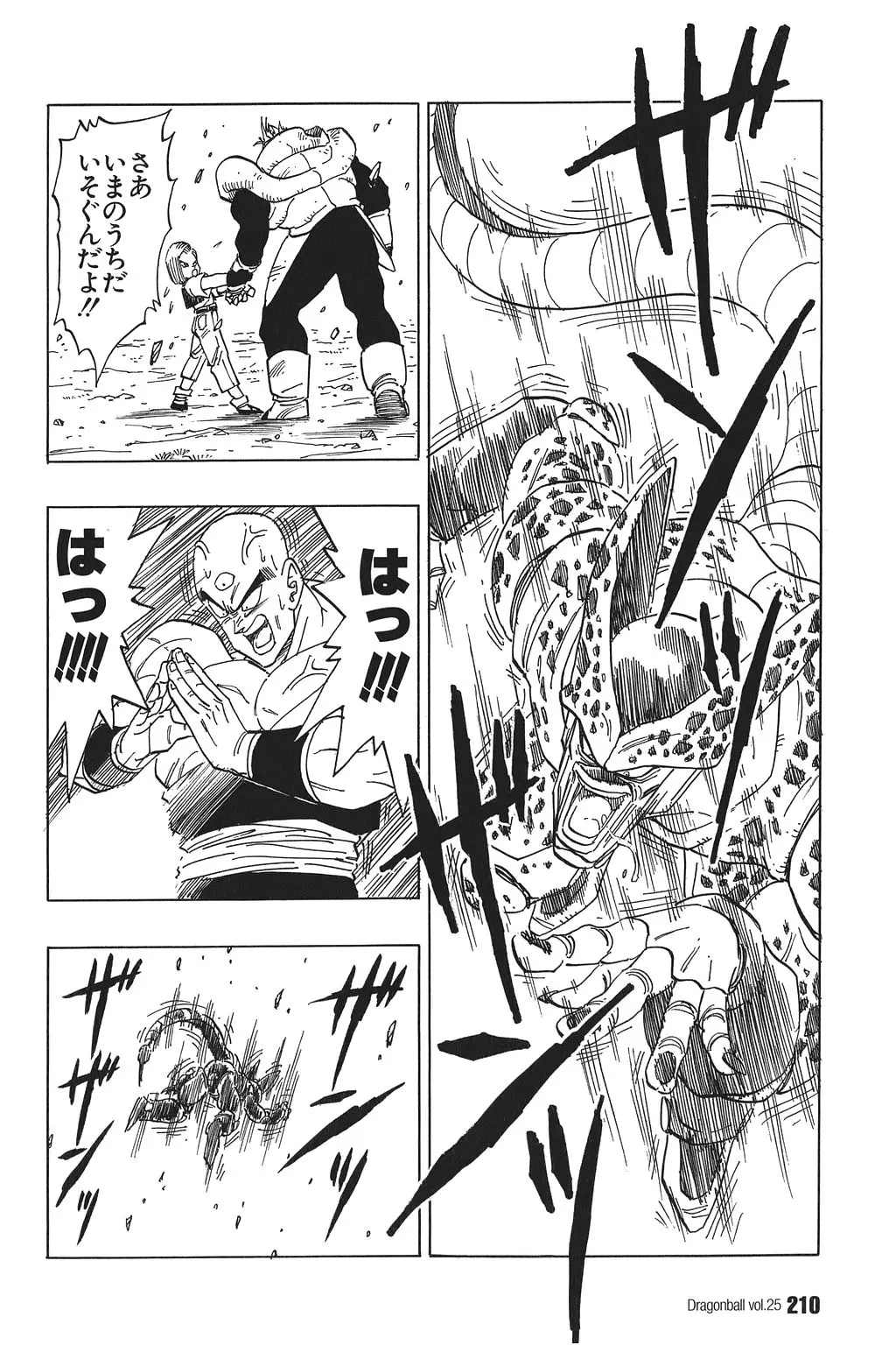 Chapitre 25 — Dragon Ball Kanzenban Vol. 25 — page 215