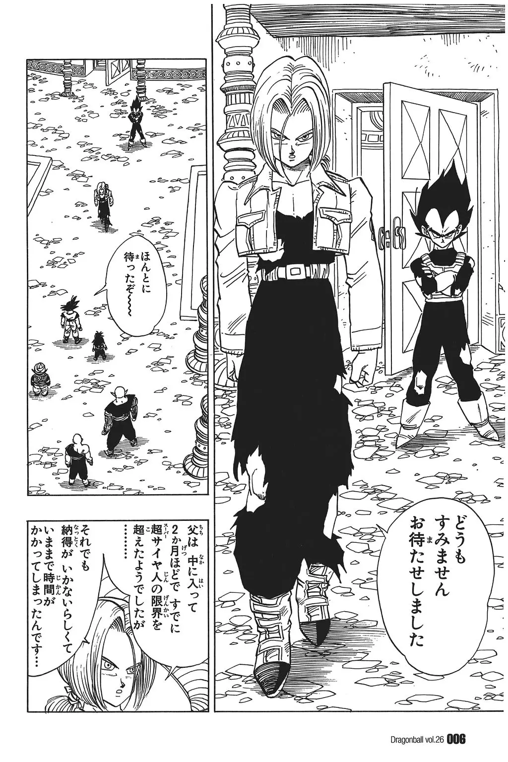 Chapitre 26 — Dragon Ball Kanzenban Vol. 26 — page 11