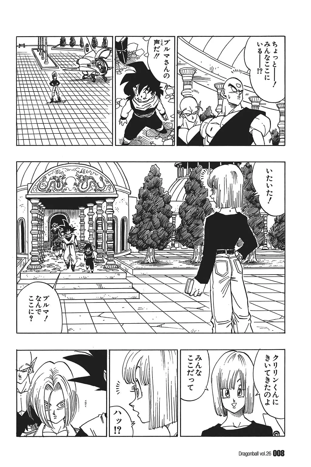 Chapitre 26 — Dragon Ball Kanzenban Vol. 26 — page 13