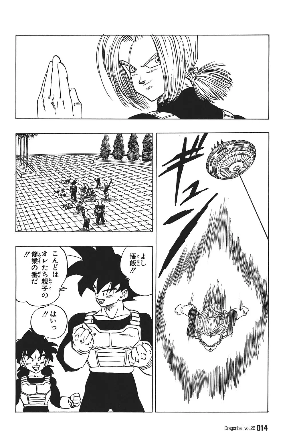 Chapitre 26 — Dragon Ball Kanzenban Vol. 26 — page 19