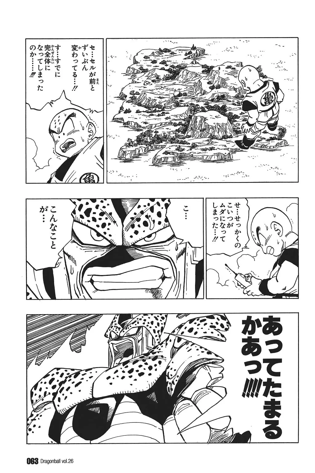 Chapitre 26 — Dragon Ball Kanzenban Vol. 26 — page 68