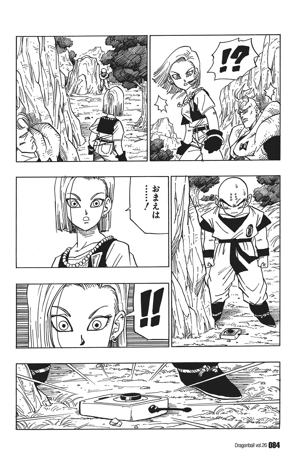 Chapitre 26 — Dragon Ball Kanzenban Vol. 26 — page 89