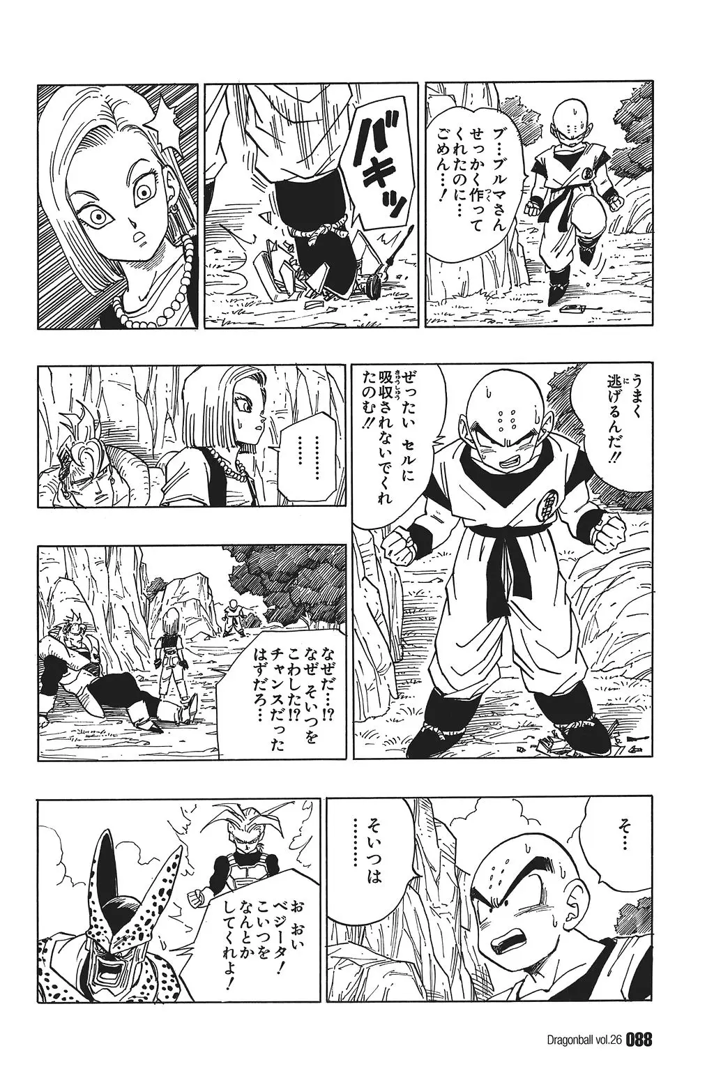 Chapitre 26 — Dragon Ball Kanzenban Vol. 26 — page 93