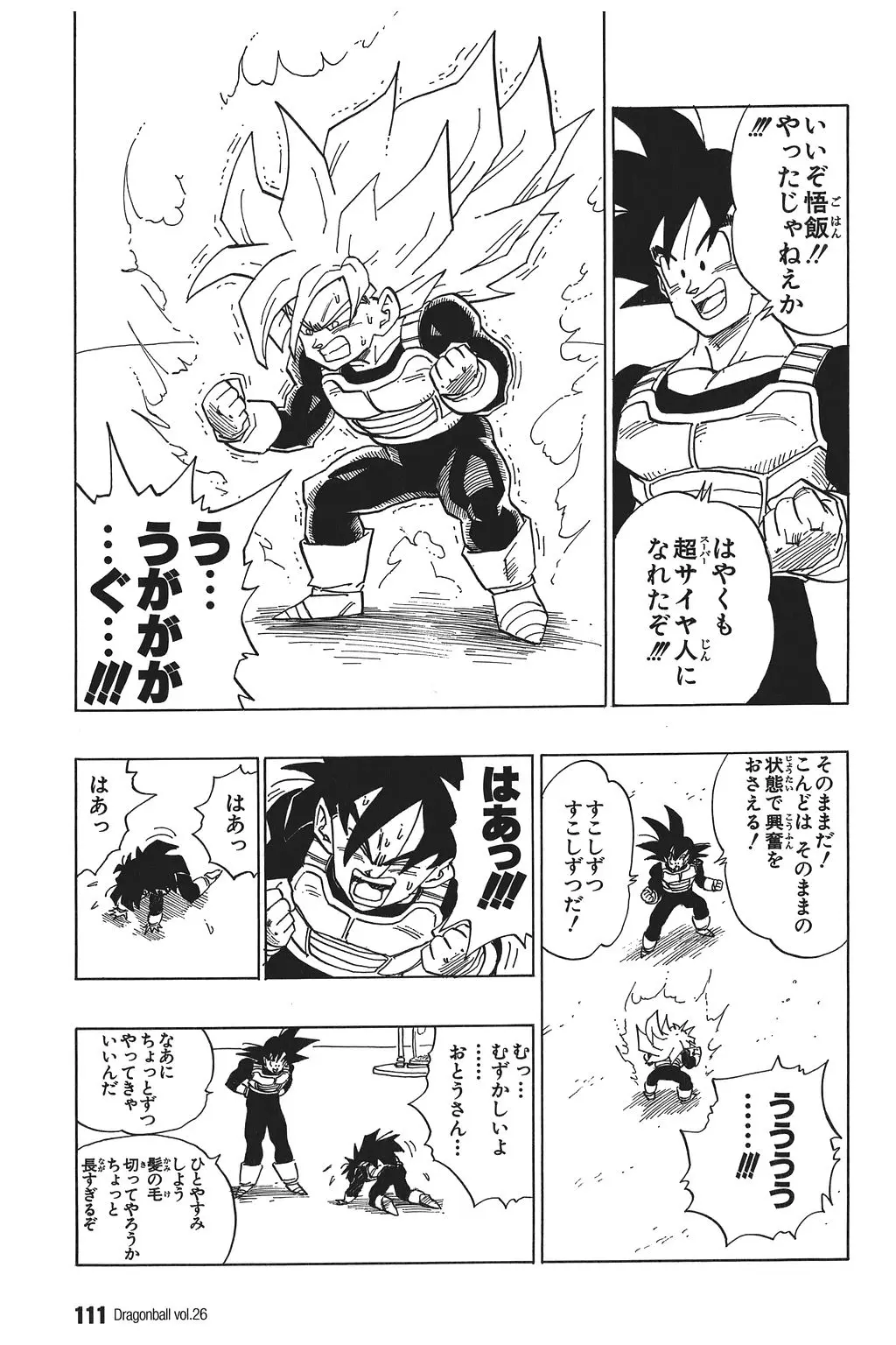 Chapitre 26 — Dragon Ball Kanzenban Vol. 26 — page 116