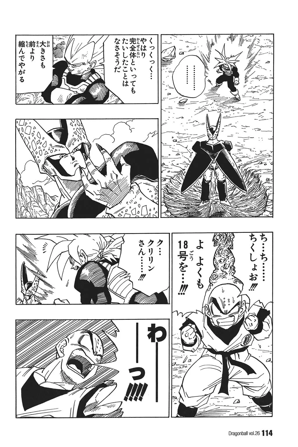 Chapitre 26 — Dragon Ball Kanzenban Vol. 26 — page 119